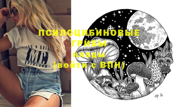 спиды Алзамай