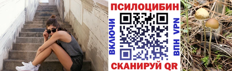 Псилоцибиновые грибы мухоморы  Купить закладки  Учалы 